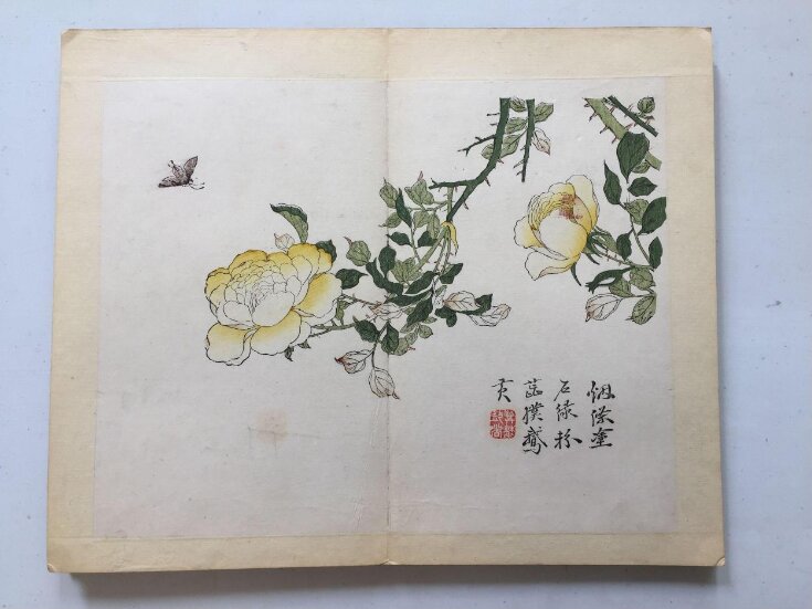 The Mustard Seed Garden Manual of Painting, part 3, birds and flowers, vol. 1, leaf 13 top image