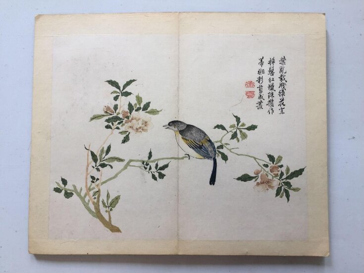 The Mustard Seed Garden Manual of Painting, part 3, birds and flowers, vol. 1, leaf 17 top image