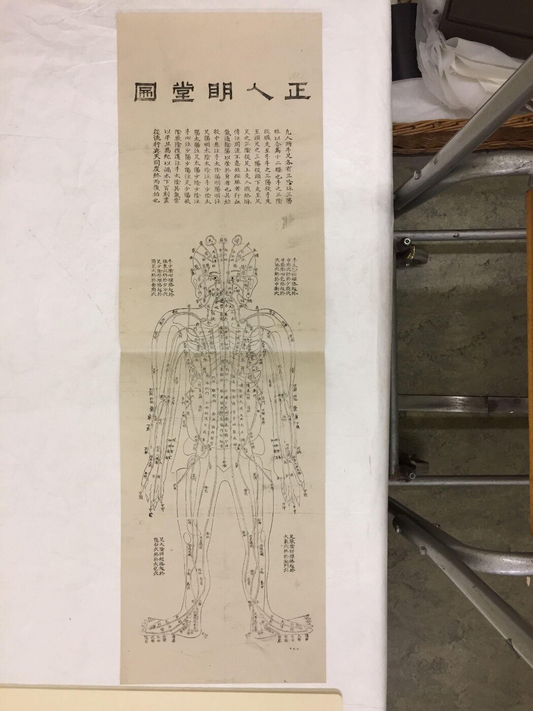 Unknown, Acupuncture Chart, Frontal View of the Human Body