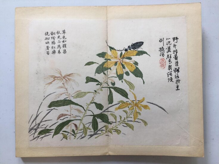 The Mustard Seeds ☆III The Mustard Seed Garden Manual of Painting, part 3, insects