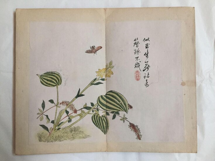 The Mustard Seed Garden Manual of Painting, part 3, insects and flowers