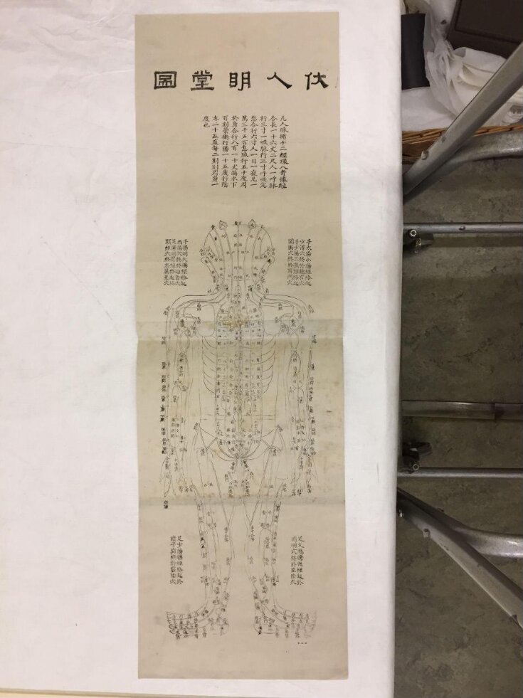 Acupuncture Chart, Back View of the Human Body top image