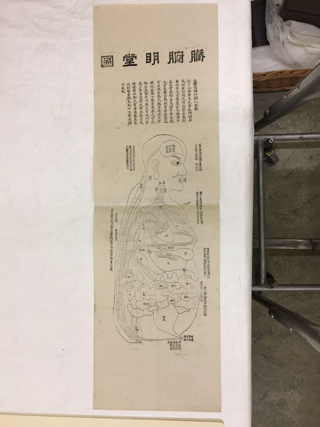 Unknown, Acupuncture Chart, a View of the Human Internal Organs