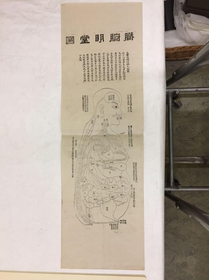 Acupuncture Chart, a View of the Human Internal Organs top image