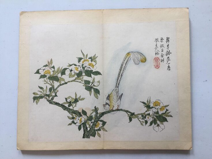 The Mustard Seed Garden Manual of Painting, part 3, birds and flowers, vol. 1, leaf 10 top image