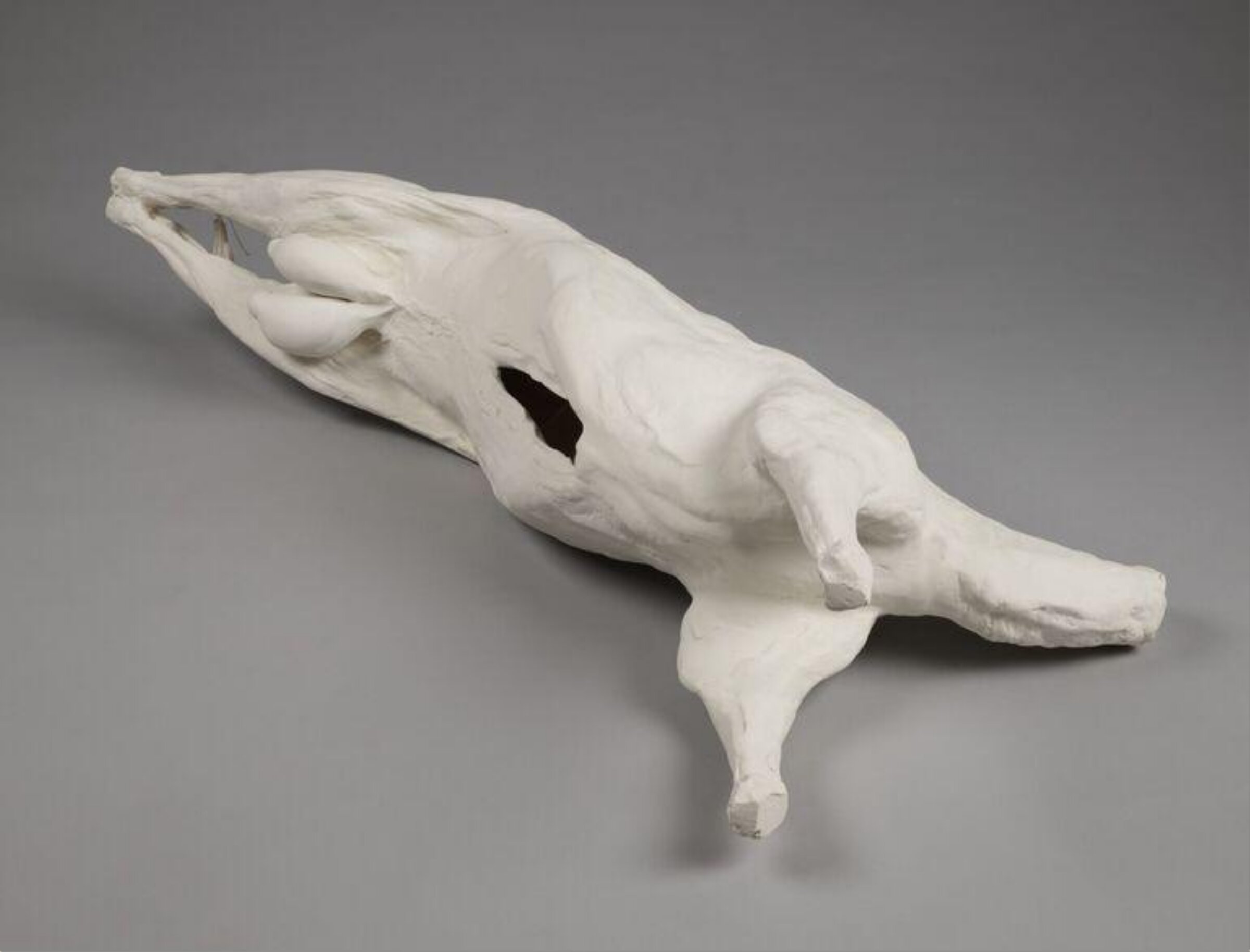 Black Sheep/Dead MeatSculptu