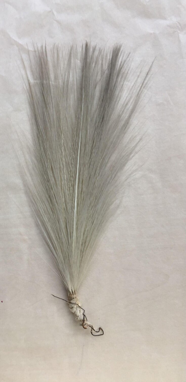 Feather V&A Explore The Collections