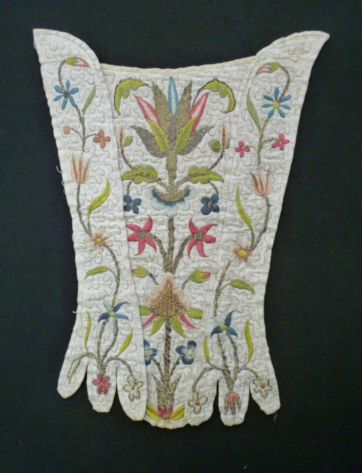 Stomacher top image