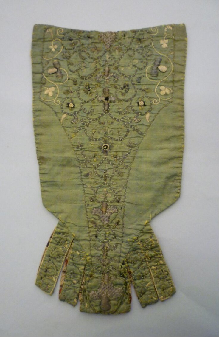 Stomacher top image