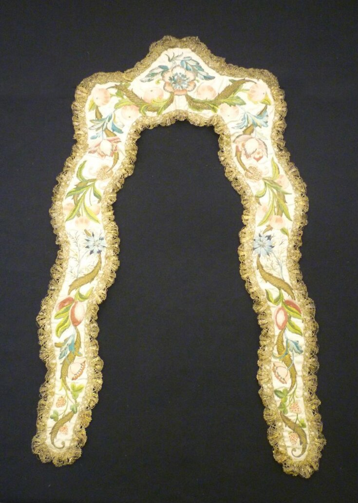 Stomacher top image