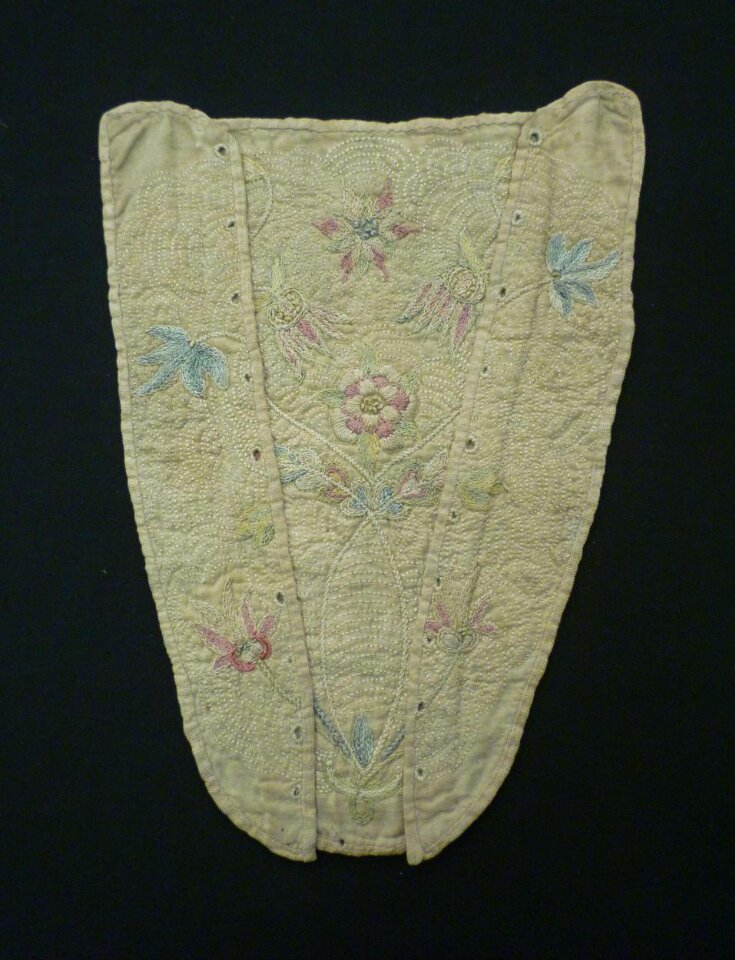 Stomacher top image