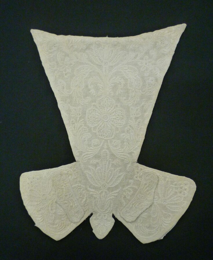 Stomacher top image