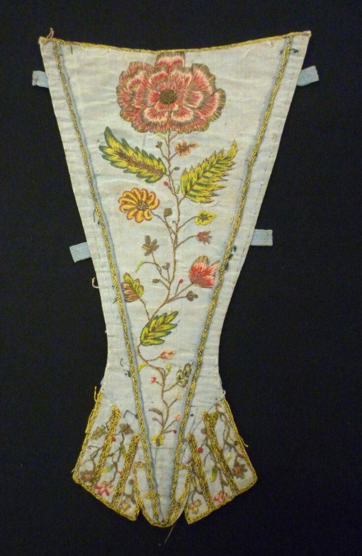 Stomacher top image