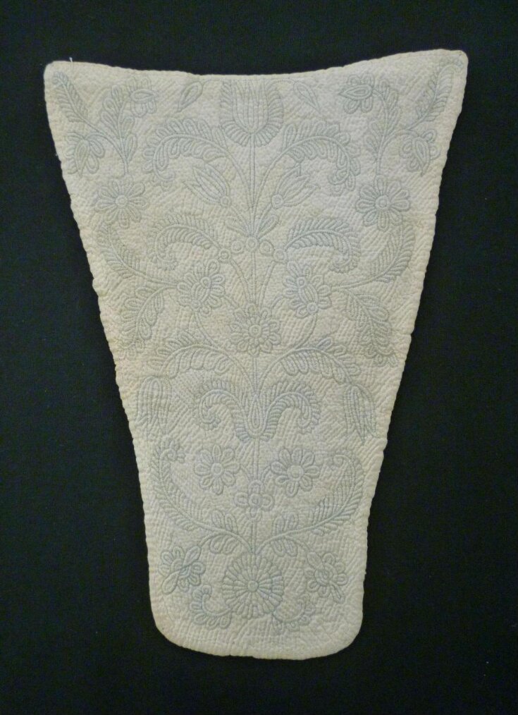 Stomacher top image