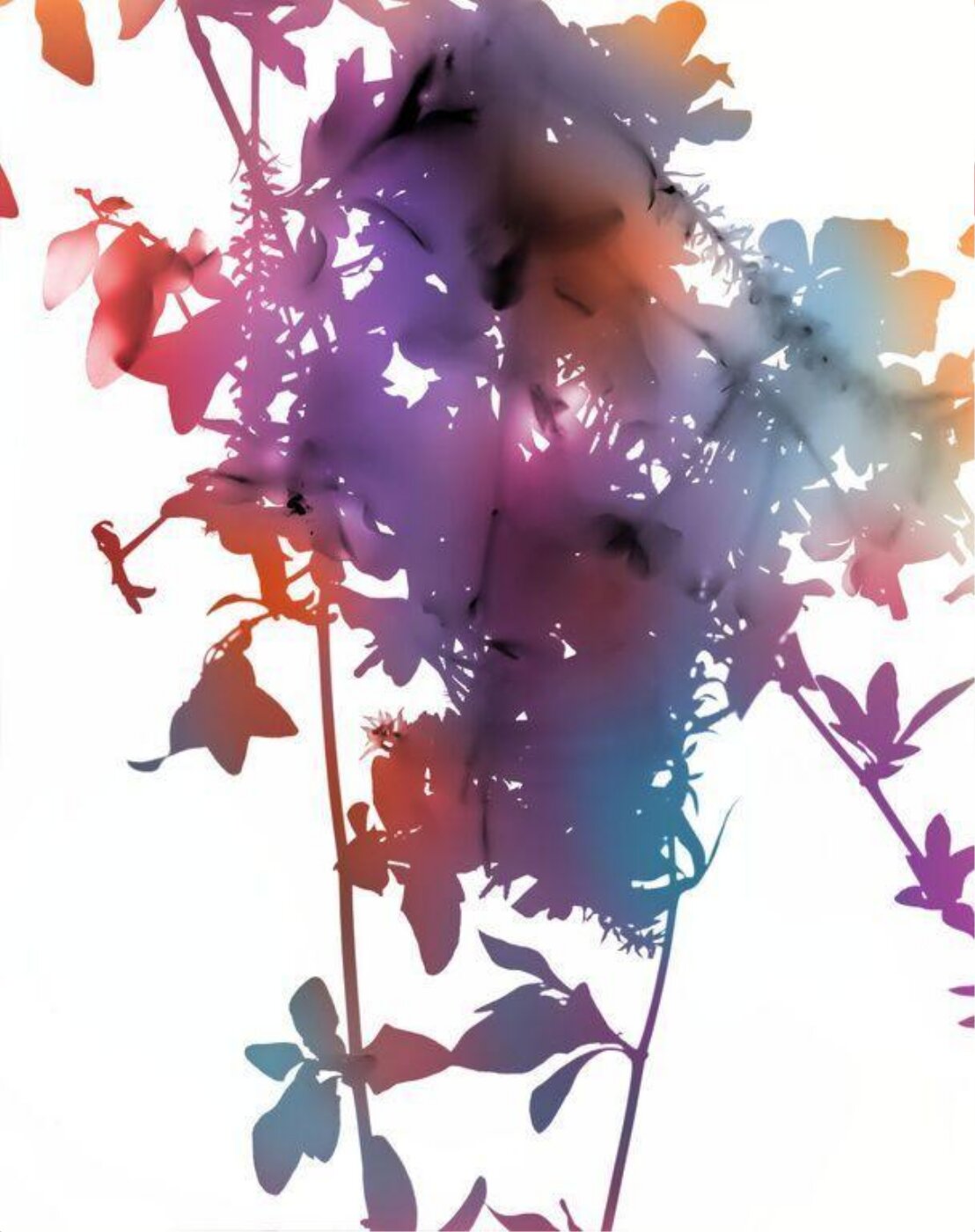 James Welling, 012X