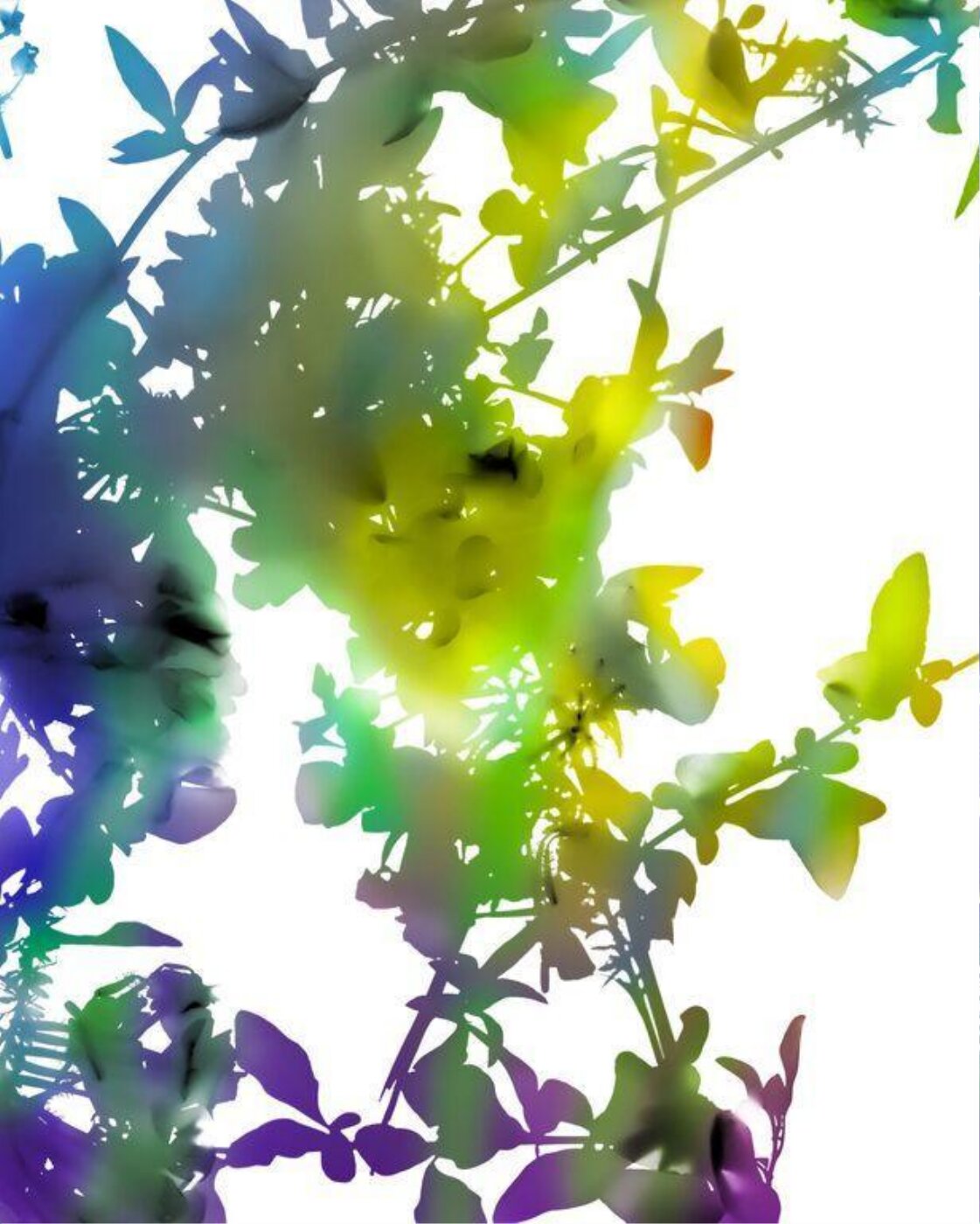 James Welling, 021B