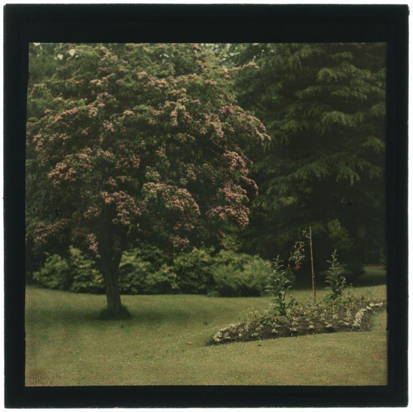 Unknown, Garden study