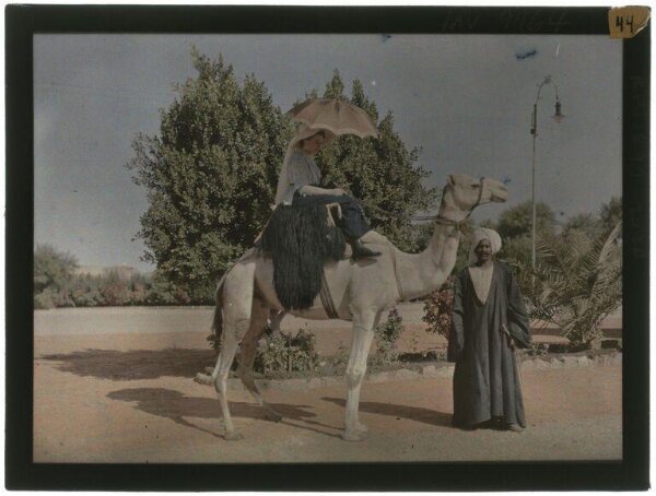 Else on Camelback | Paneth, F.A. | V&A Explore The Collections