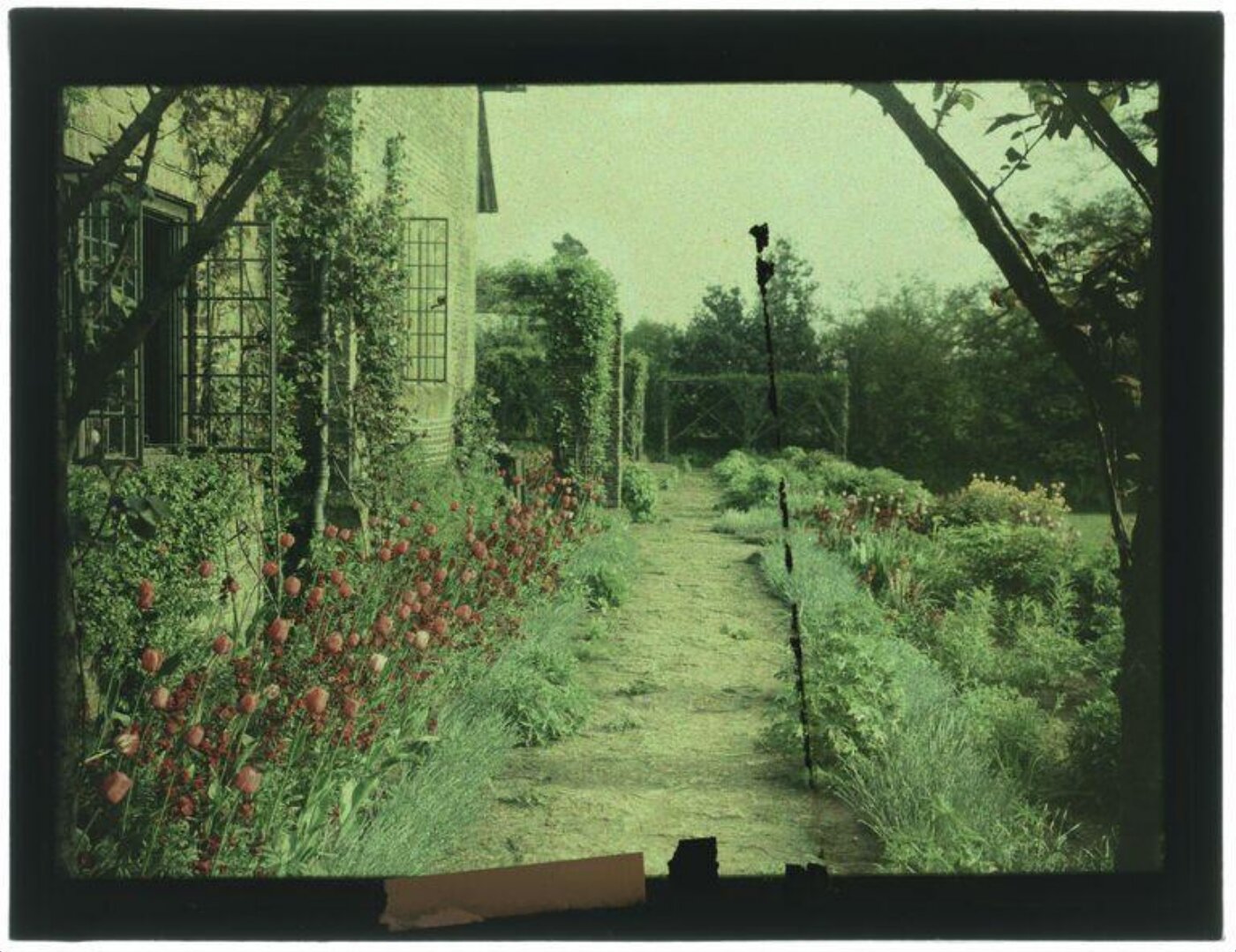 Unknown, Garden study