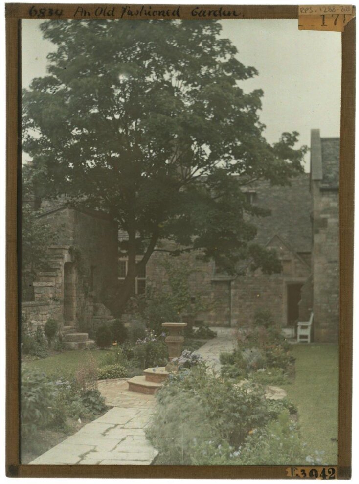 An Old Fashioned Garden top image