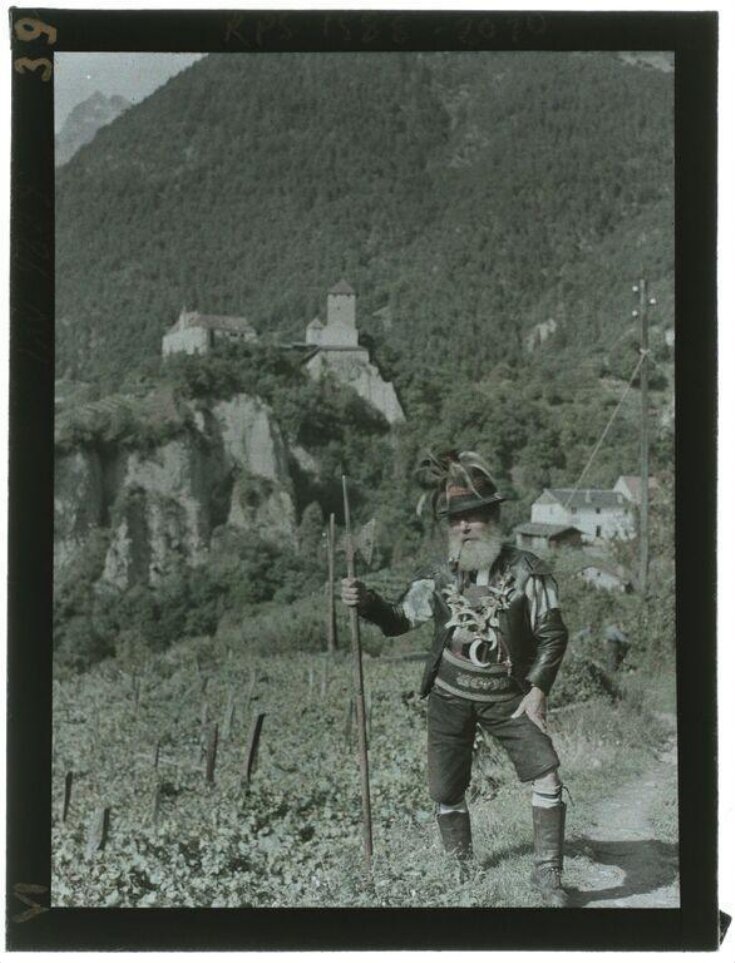 Vineyard watchman top image