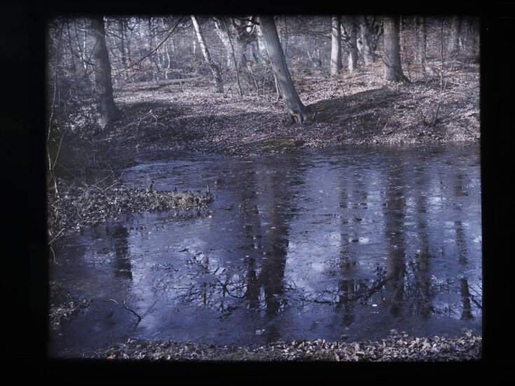 Frozen Pond top image
