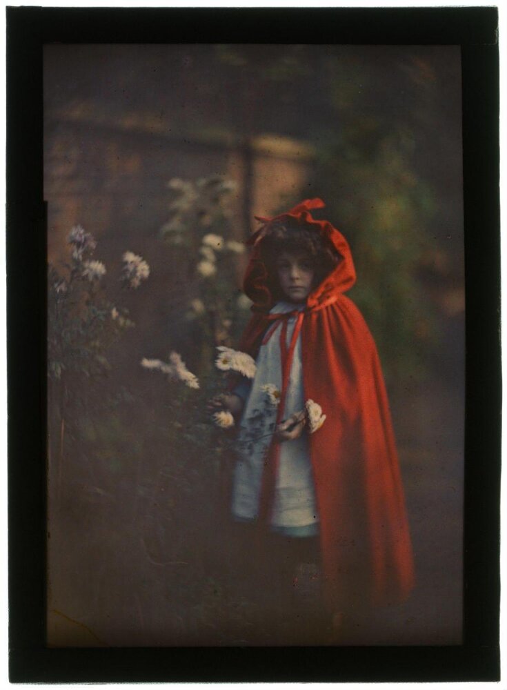 Joan in Red Riding Hood Cape with Basket top image