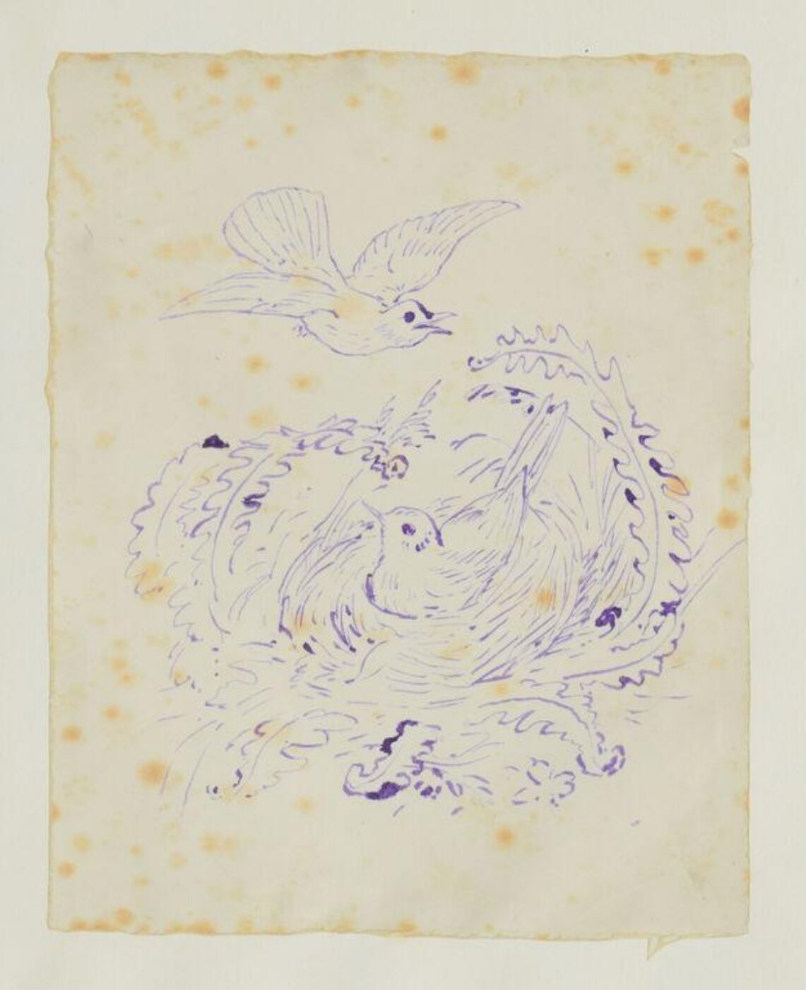 Potter, Beatrix, Print