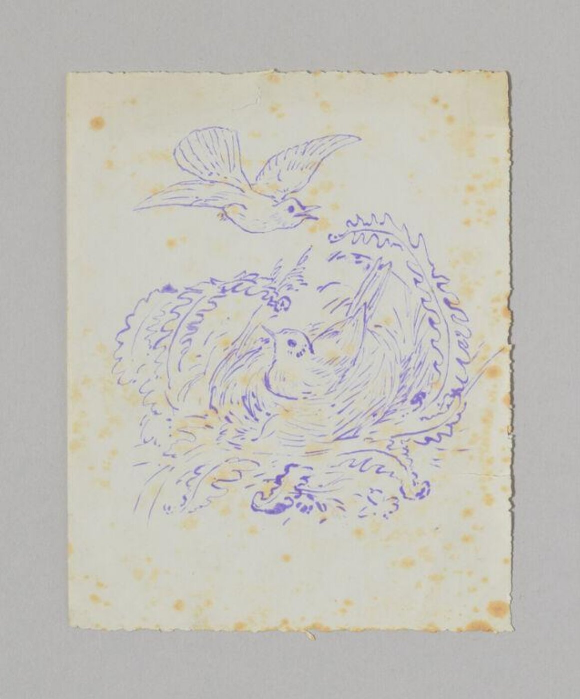Potter, Beatrix, Print