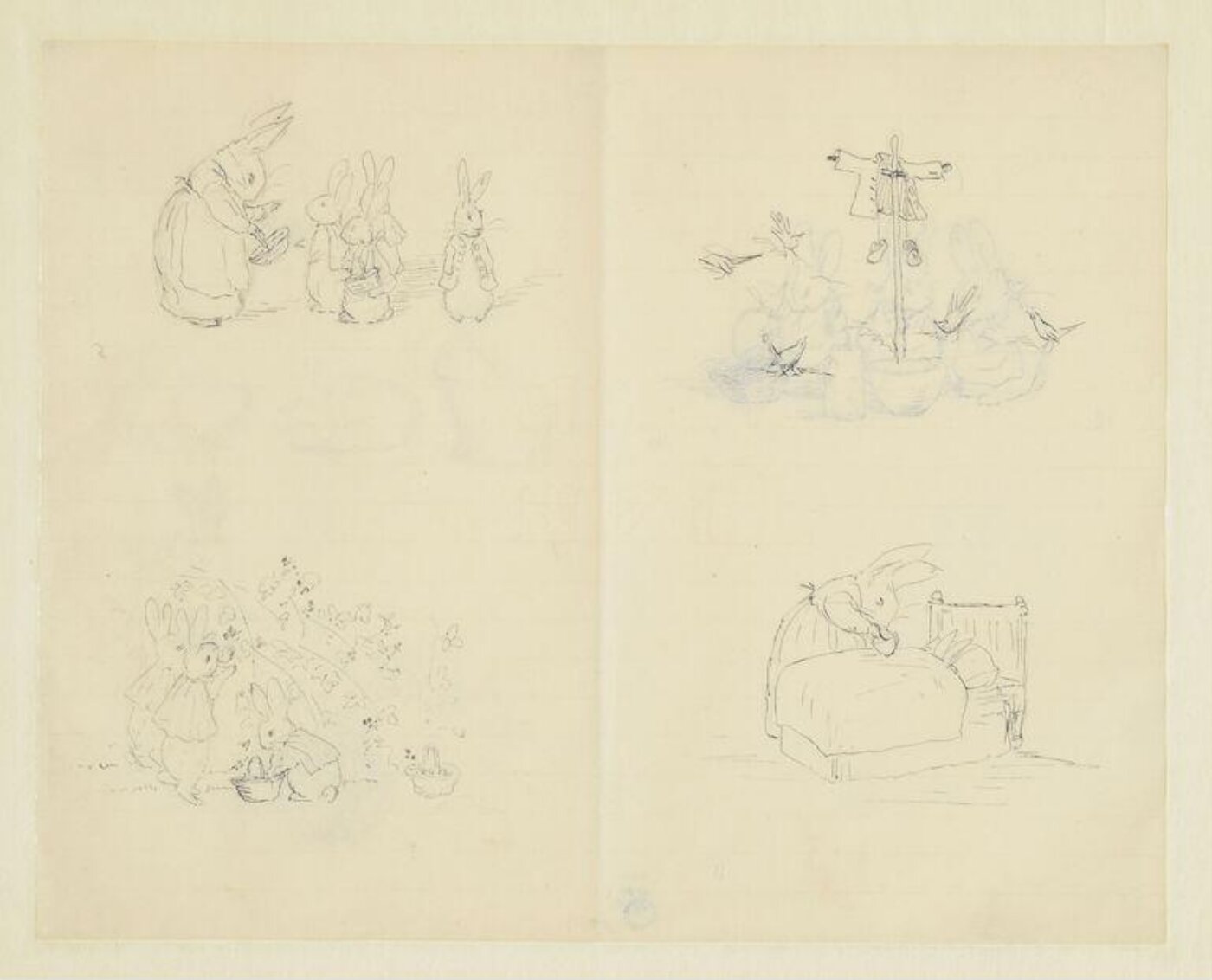 Potter, Beatrix, Drawing