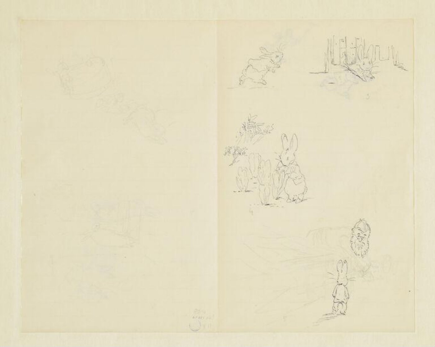 Potter, Beatrix, Drawing