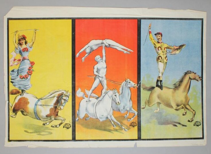 Printer's proof of circus posters advertising equestrian performers top image