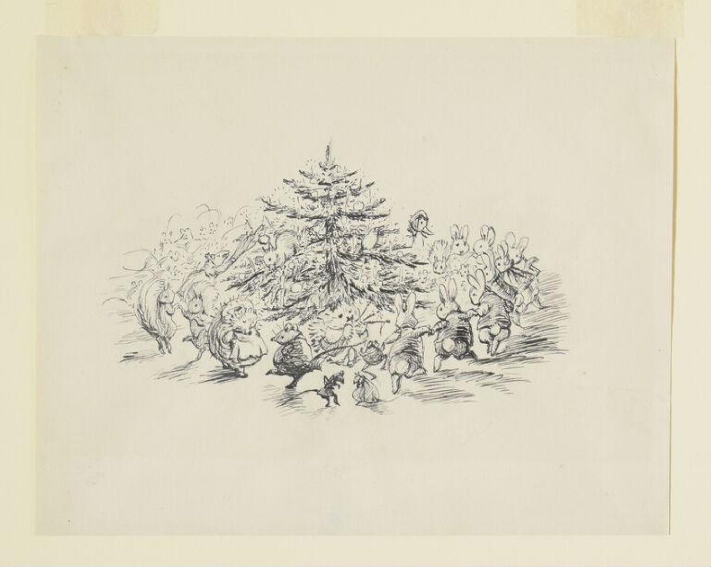 Potter, Beatrix, drawing
