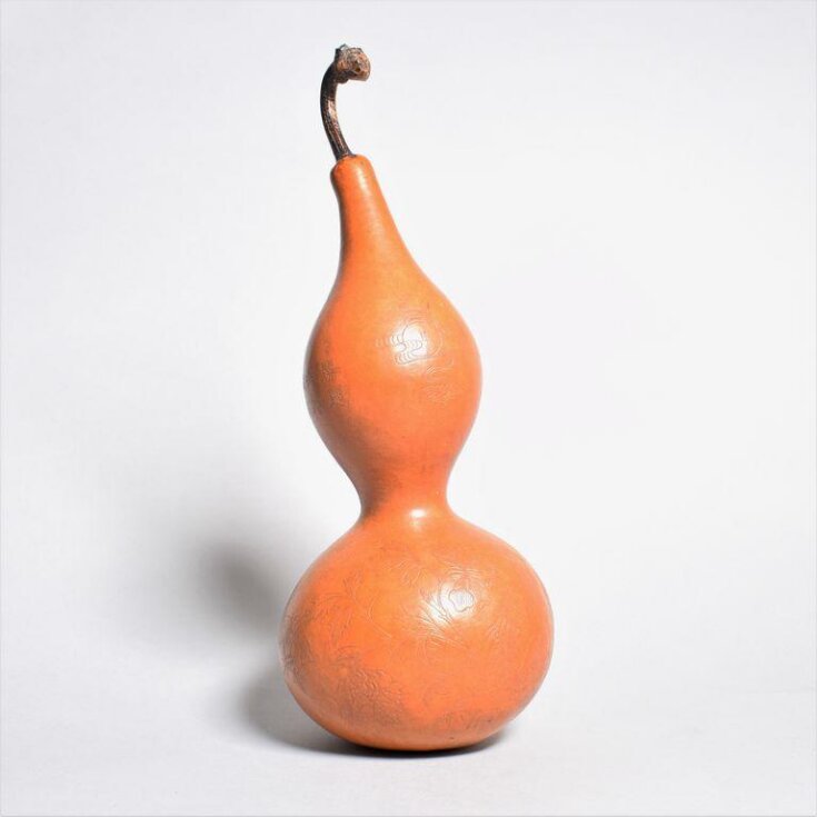 Gourd top image
