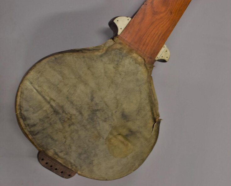My Stringed Instruments Stringed Instrument | V&A Explore The Collections