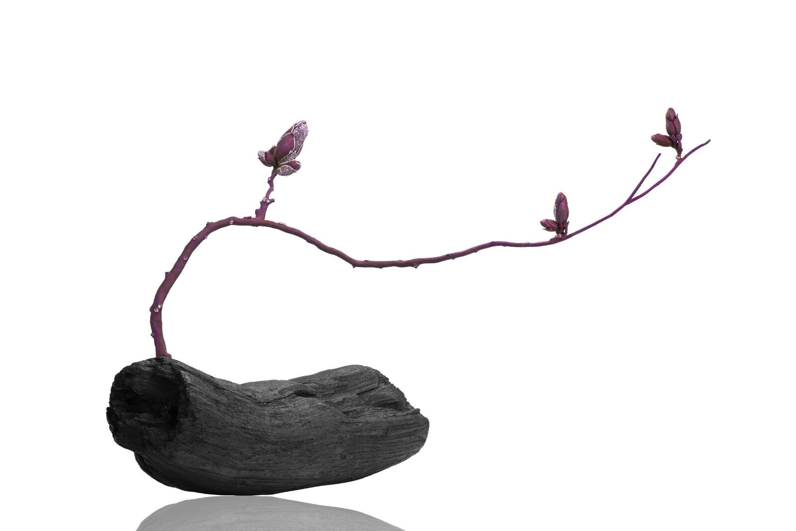 Zen, Aka Chen, 2017