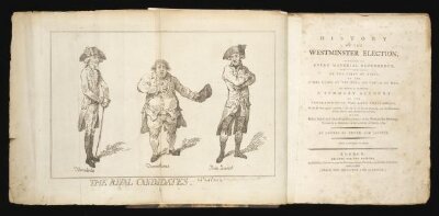 History of the Westminster election
