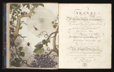 Aranei: or, Natural history of spiders