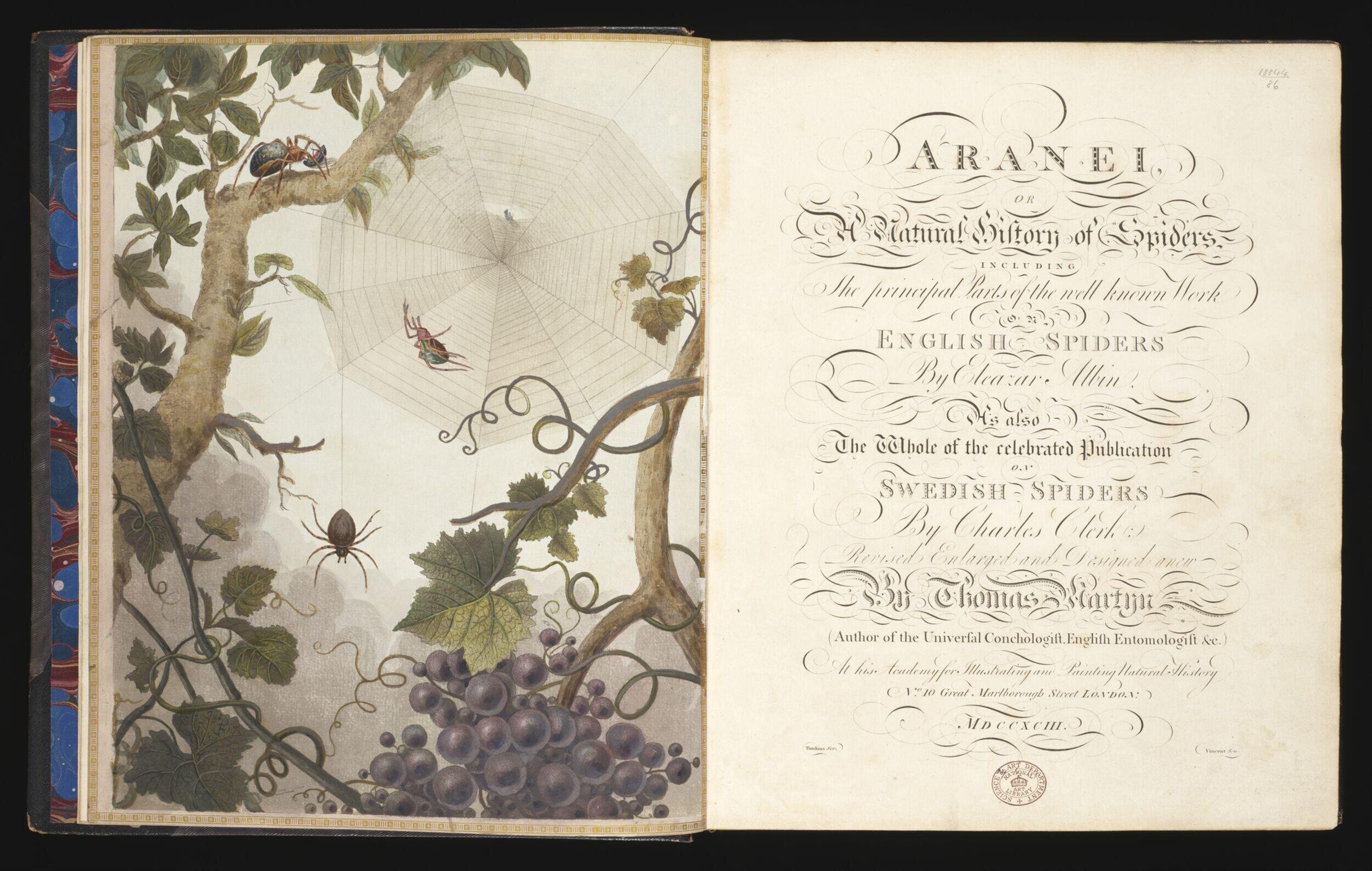 Aranei: or, Natural history of spiders