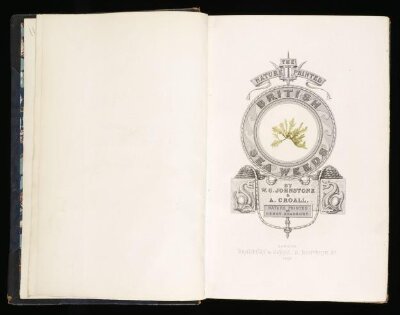The nature-printed British sea-weeds