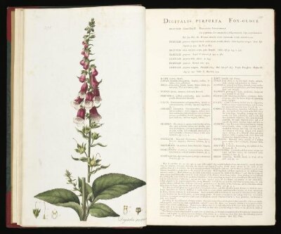 Flora Londinensis: or, plates and descriptions of such plants as grow wild in the environs of London