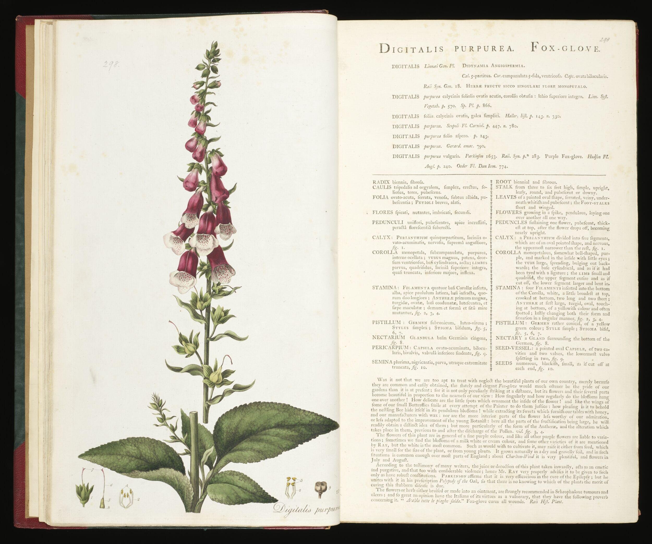 Flora Londinensis: or, plates and descriptions of such plants as grow wild in the environs of London