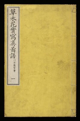 Sōmoku kajitsu shashin zufu