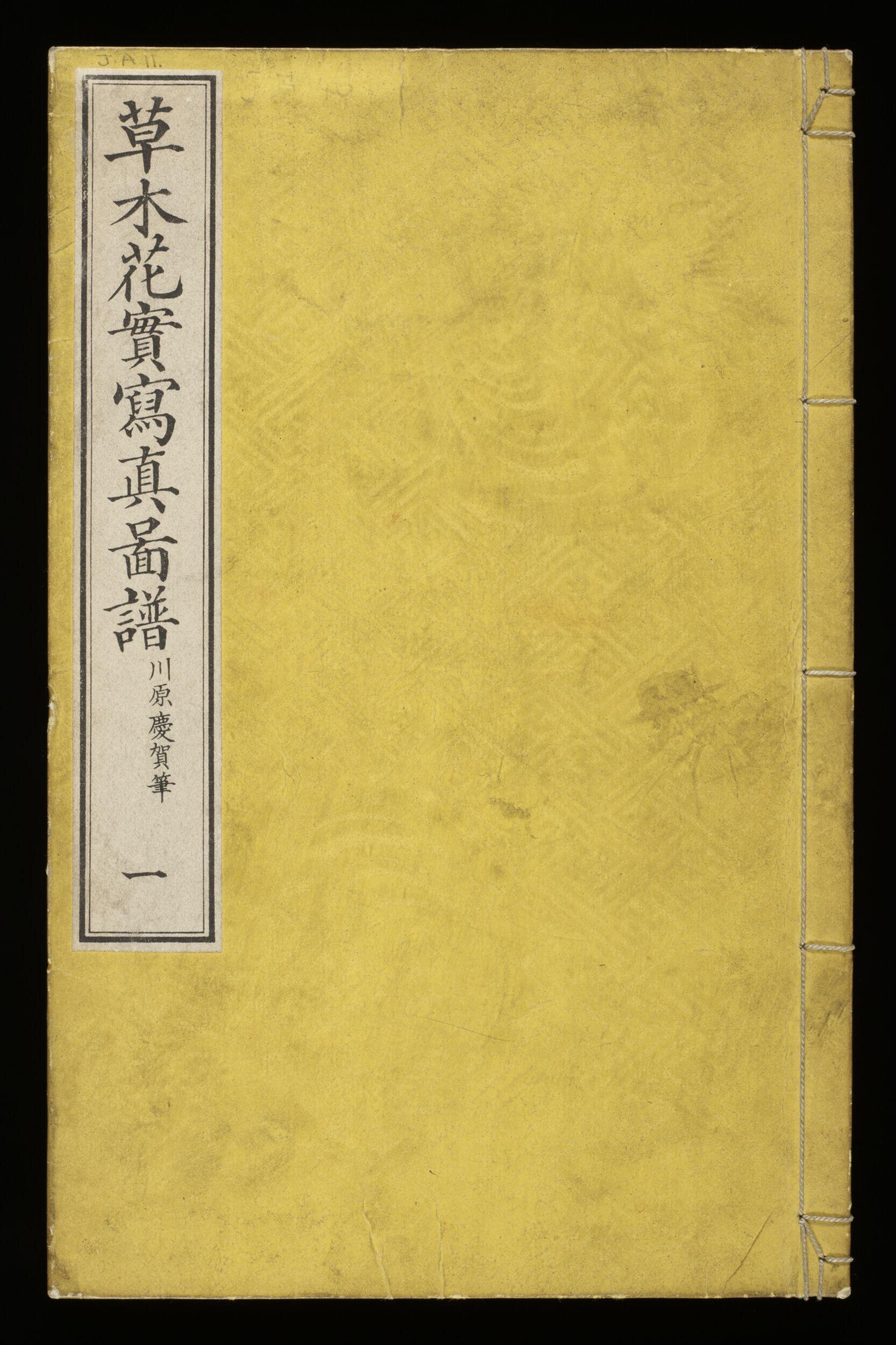 Sōmoku kajitsu shashin zufu