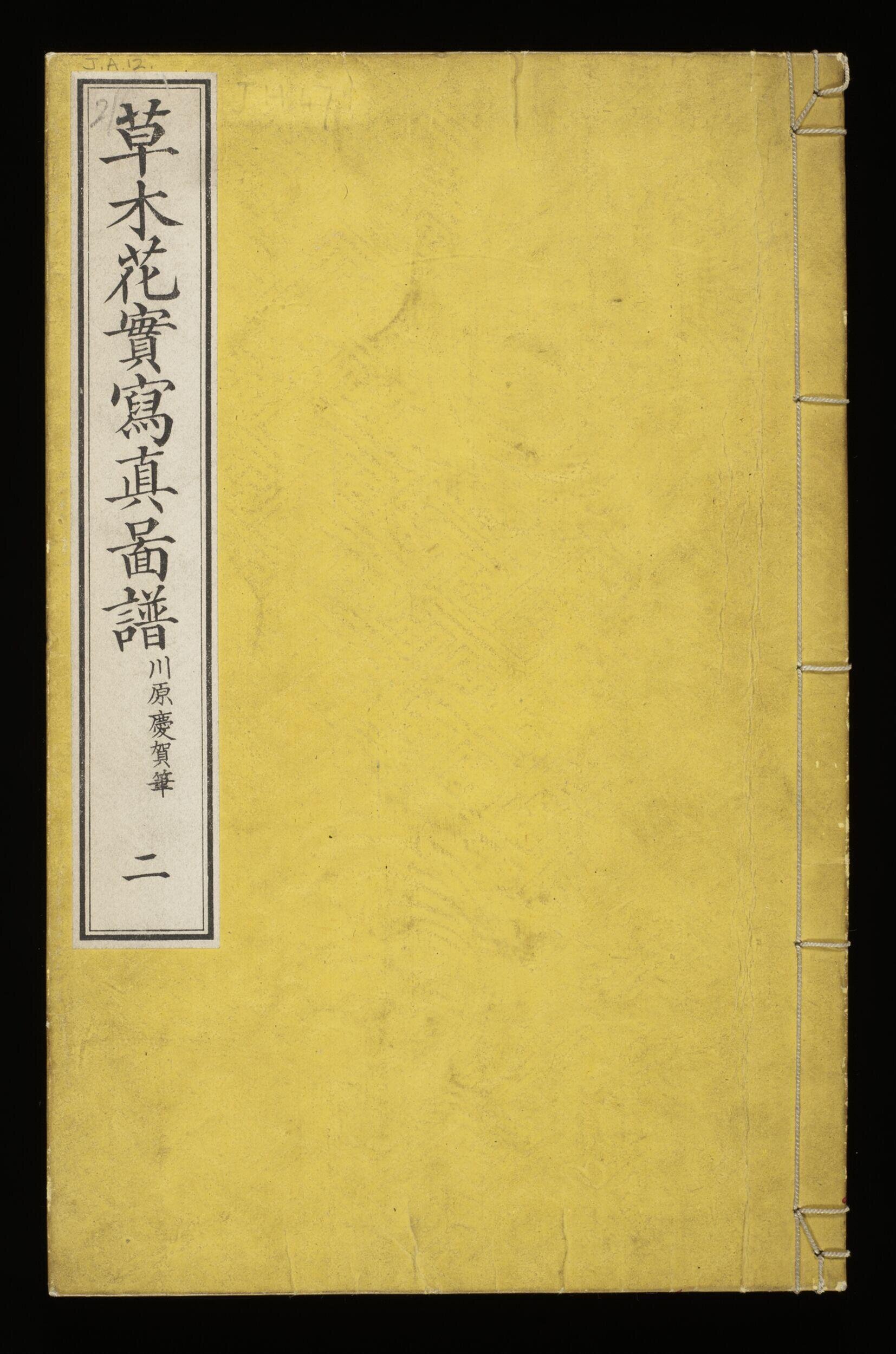 Sōmoku kajitsu shashin zufu