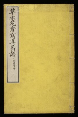 Sōmoku kajitsu shashin zufu