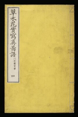Sōmoku kajitsu shashin zufu