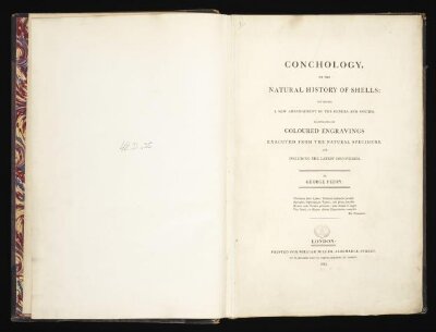 Conchology, or, The natural history of shells