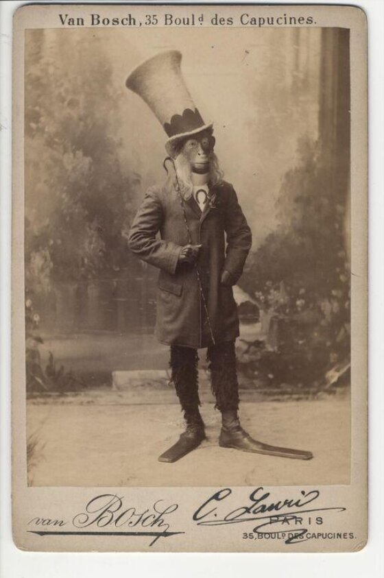 Charles Lauri Jnr (late 19th century) by Anthonie van den Bosch
