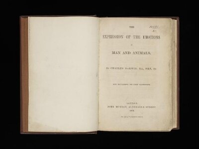 The expression of the emotions in man and animals